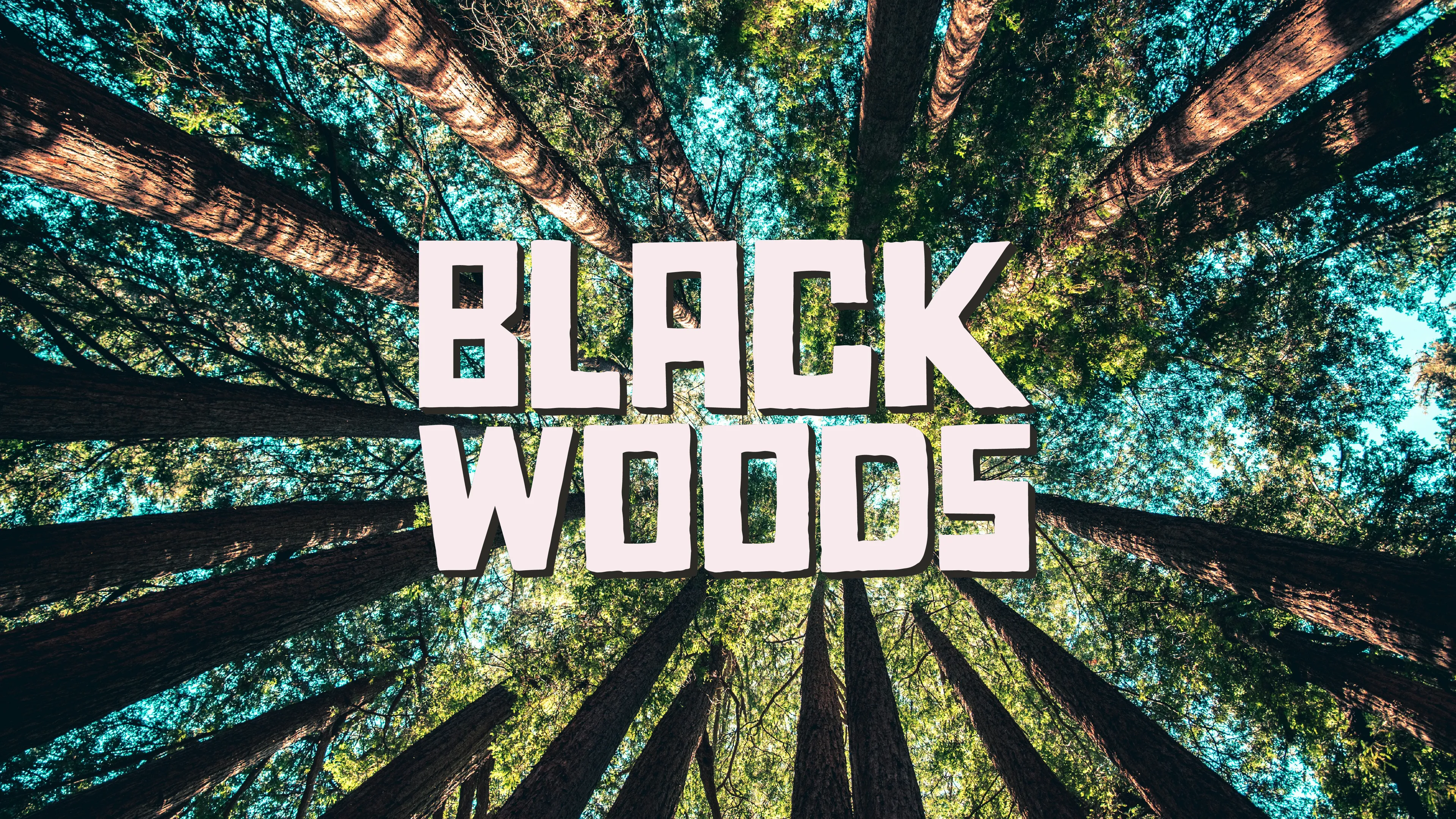 Blackwoods poster
